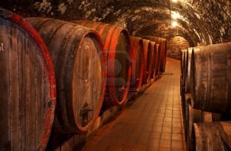 Visita Bodegas